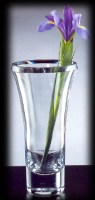 Trillion_Vase_4c6d1ee5b9d5c